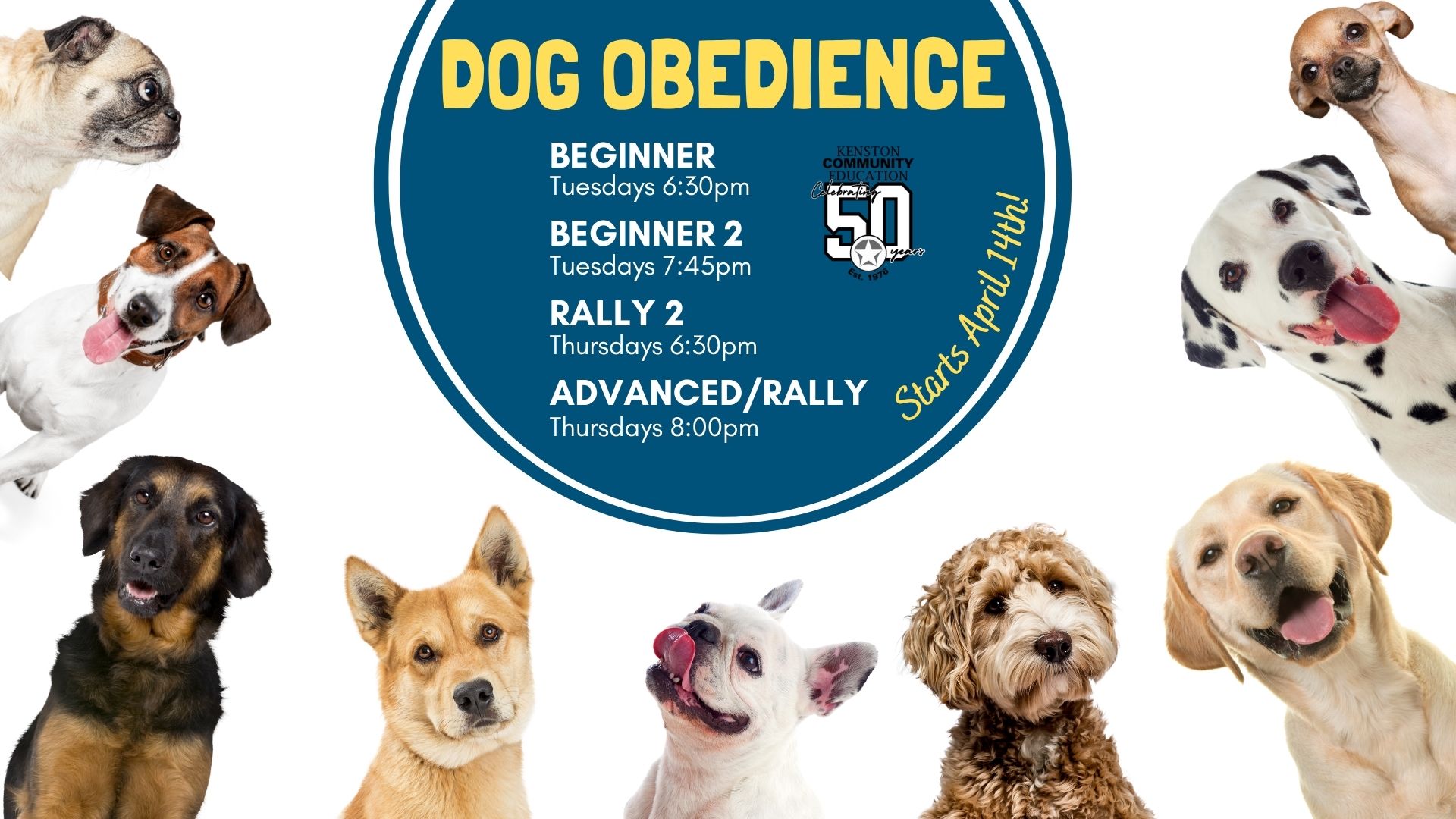 New Session: 🐶Dog Obedience🐺
