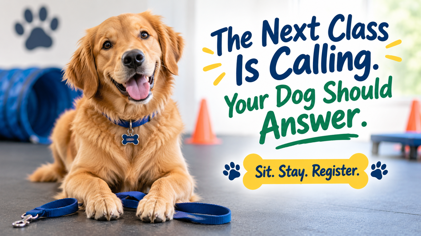 The Next Class Is Calling. Your Dog Should Answer.